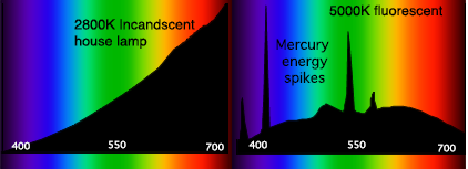 Diferença de reprodução cromática entre uma luz incandescente e uma luz fluorescente. Imagem da Wikipedia usada com Licença Creative Commons